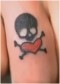 gower_travis